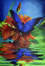 butterfly-tn